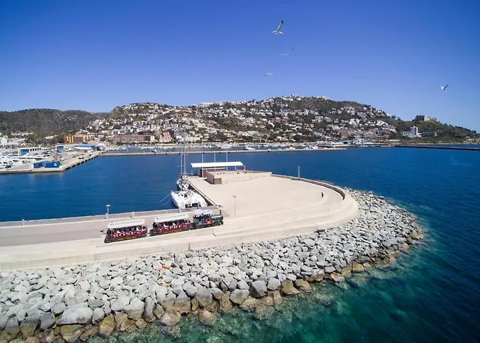 Puig Rom 115 - Immo Barneda Lägenhet *